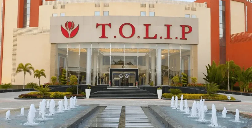 فندق توليب النرجس